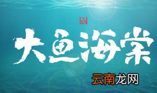大鱼海棠2上映时间 大鱼海棠第一部的口碑如何