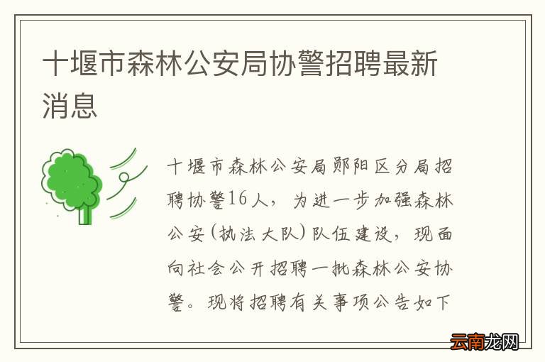 十堰市森林公安局协警招聘最新消息