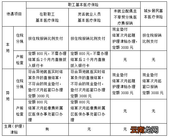 大连生育保险报销范围和标准2022