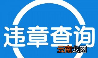小车违章快速查询 有什么方法