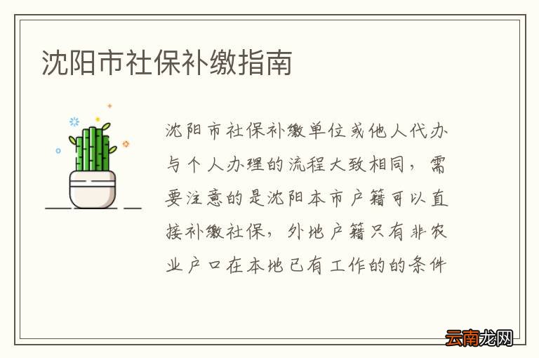 沈阳市社保补缴指南