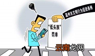 12313交违章罚款怎么交 你懂了没有呢