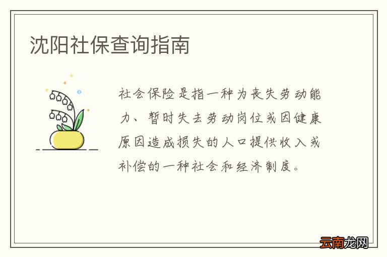 沈阳社保查询指南
