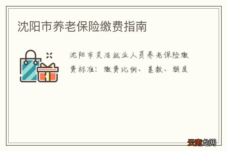 沈阳市养老保险缴费指南