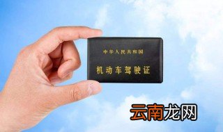驾驶证查询终身免检条件 你符合要求吗