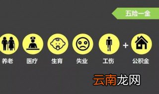 五险一金指什么 五险一金的简介