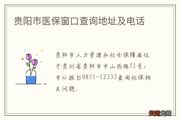 贵阳市医保窗口查询地址及电话