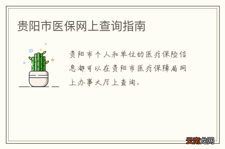 贵阳市医保网上查询指南
