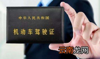 没带驾照可以开车吗 有什么处罚
