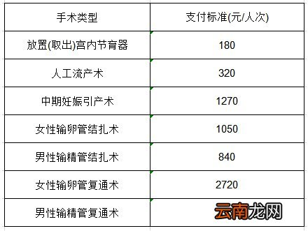 大连生育保险和生育津贴有什么区别