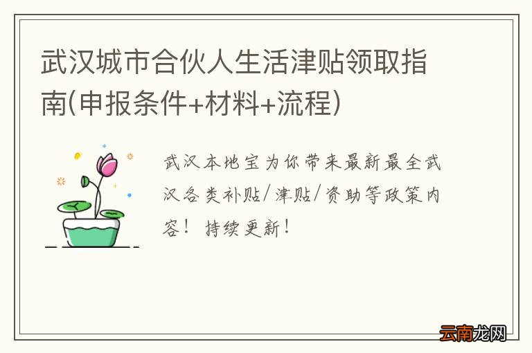 申报条件+材料+流程 武汉城市合伙人生活津贴领取指南