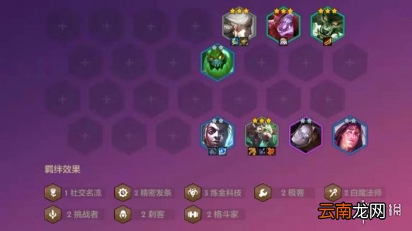 金铲铲之战名流耗子阵容怎么配 金铲铲之战名流耗子阵容搭配推荐