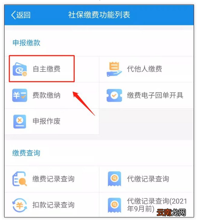 昭通城乡居民医保怎么参保？如何缴费？