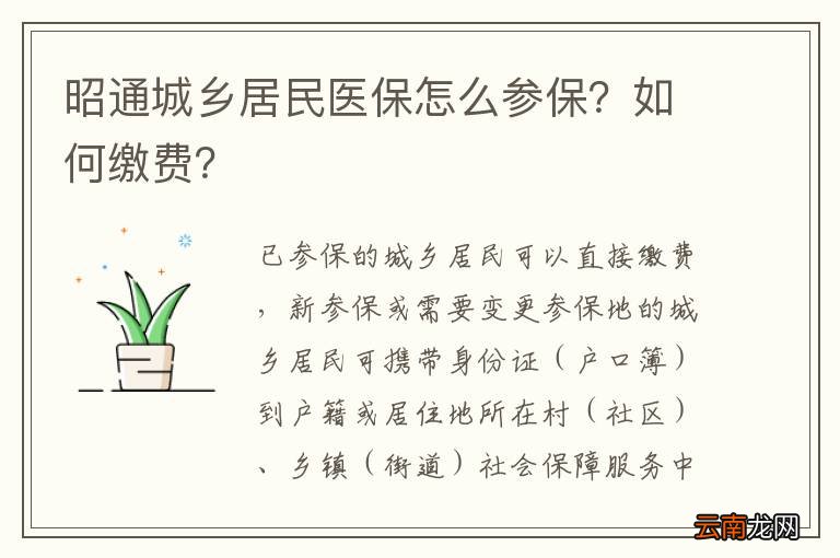 昭通城乡居民医保怎么参保？如何缴费？