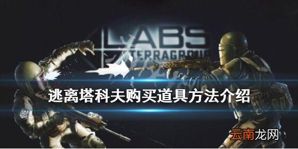 逃离塔科夫道具怎么买 逃离塔科夫购买道具方法介绍_网