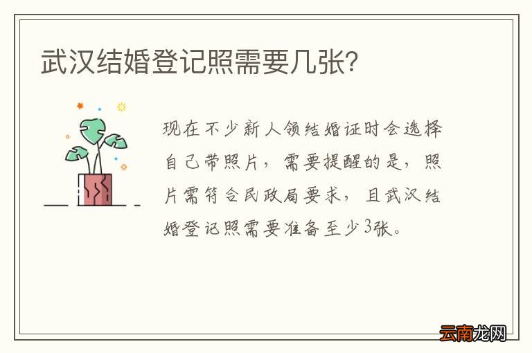 武汉结婚登记照需要几张？