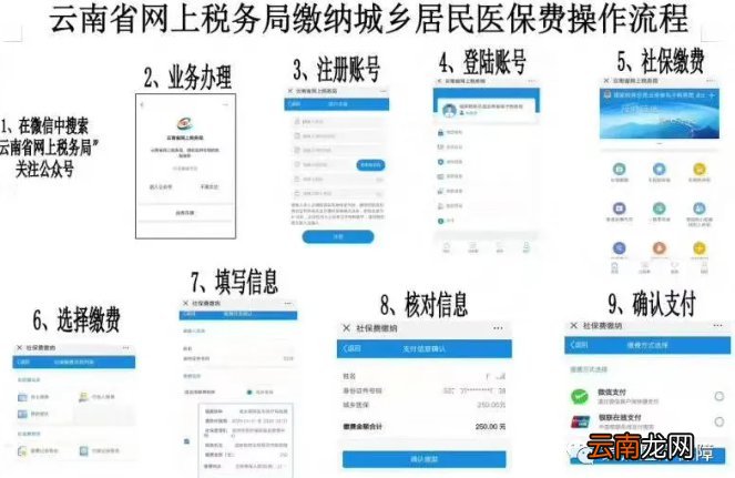 附流程+入口 景洪城乡医保缴费方式