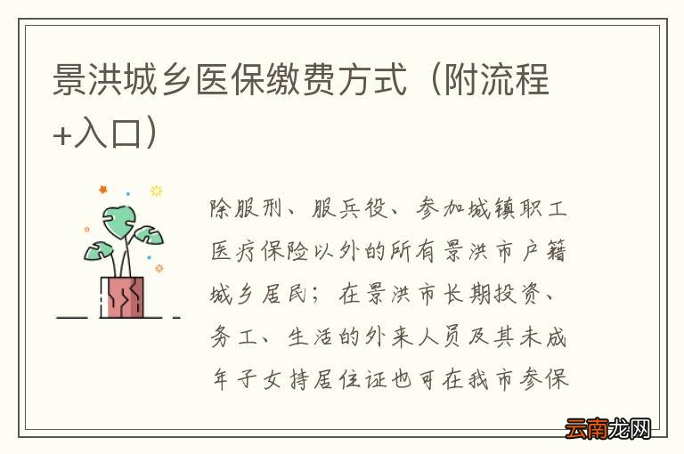 附流程+入口 景洪城乡医保缴费方式