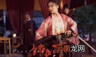 锦衣之下什么时候上映 主演是谁