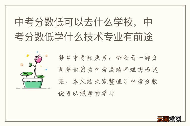 中考分数低可以去什么学校，中考分数低学什么技术专业有前途