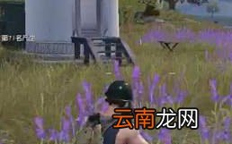 荒野行动薰衣草田地图玩法 薰衣草田地图怎么打