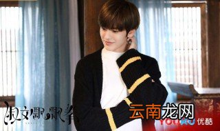 淑女飘飘拳电视剧什么时候上映 是爱情剧吗