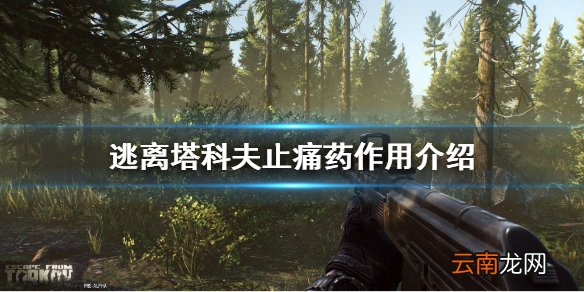 逃离塔科夫止痛药作用介绍 逃离塔科夫止痛药有什么用_网