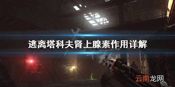 逃离塔科夫肾上腺素好用吗 逃离塔科夫肾上腺素作用详解_网