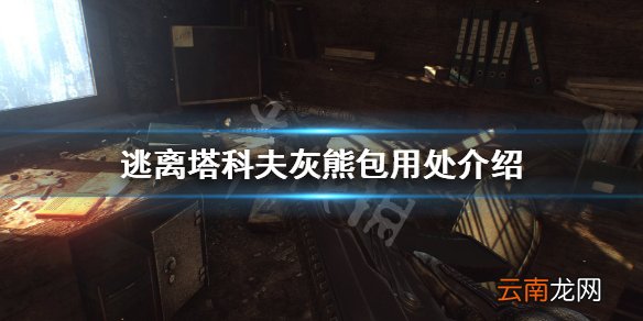 逃离塔科夫灰熊包有什么用 逃离塔科夫灰熊包用处介绍_网