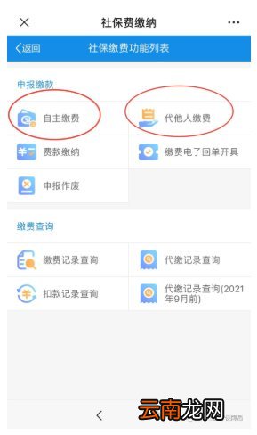 腾冲市城乡居民医疗医保怎样参保