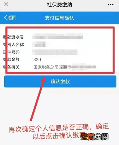 云南省电子税务局怎么缴纳城乡居民医保