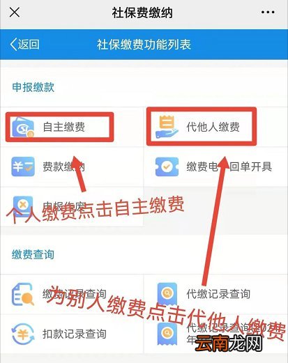 云南省电子税务局怎么缴纳城乡居民医保