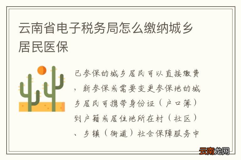 云南省电子税务局怎么缴纳城乡居民医保