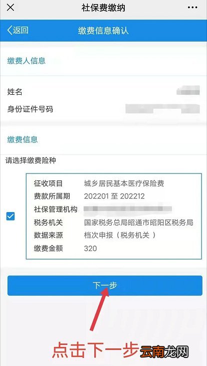 云南省电子税务局怎么缴纳城乡居民医保