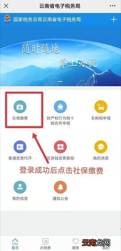 云南省电子税务局怎么缴纳城乡居民医保