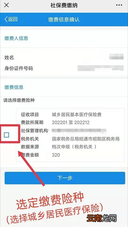 云南省电子税务局怎么缴纳城乡居民医保