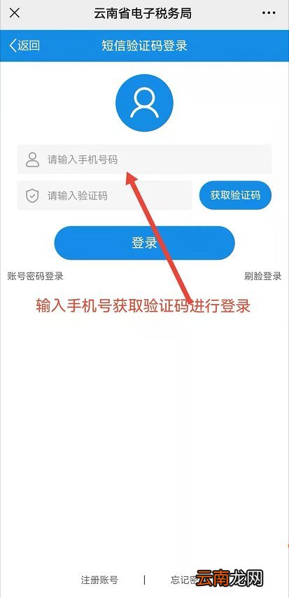 云南省电子税务局怎么缴纳城乡居民医保