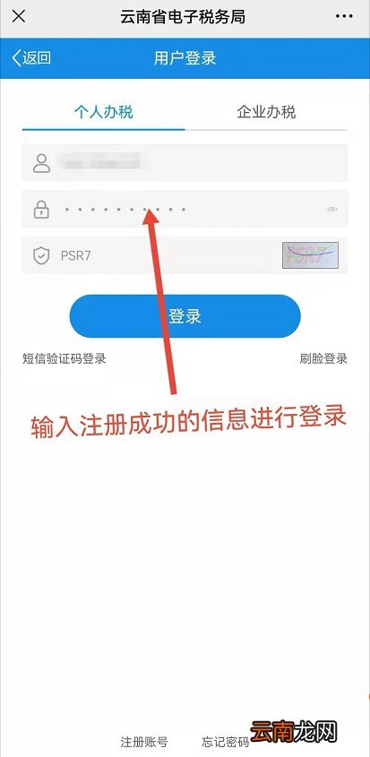 云南省电子税务局怎么缴纳城乡居民医保