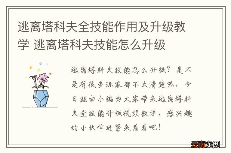 逃离塔科夫全技能作用及升级教学 逃离塔科夫技能怎么升级