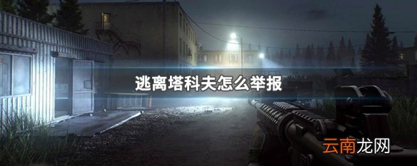 逃离塔科夫怎么举报 逃离塔科夫举报方法