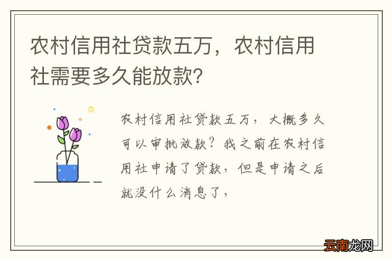 农村信用社贷款五万，农村信用社需要多久能放款？