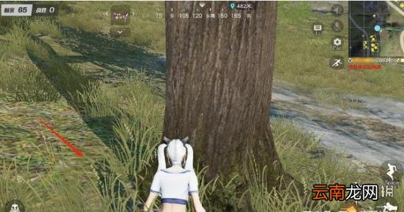 荒野行动画质设置有什么用 荒野行动画质设置方式和作用