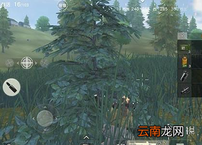 荒野行动哪里适合藏匿 荒野行动lyb躲藏攻略