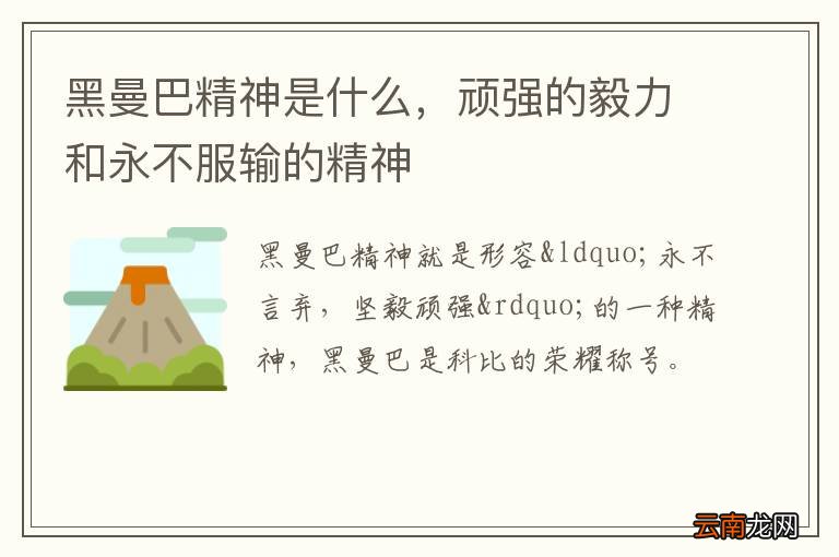 黑曼巴精神是什么，顽强的毅力和永不服输的精神