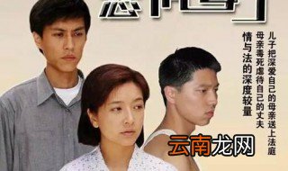 电视剧悲情母子简介 剧情是怎样的