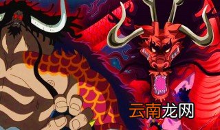 海贼王百兽凯多是什么果实？百兽凯多是谁