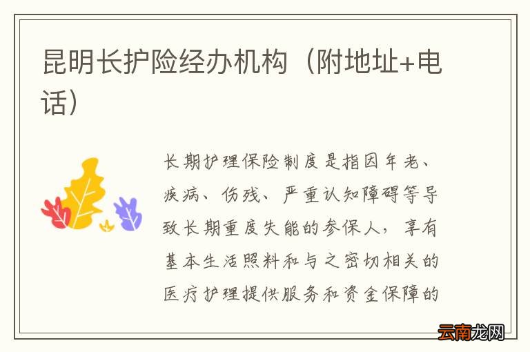 附地址+电话 昆明长护险经办机构