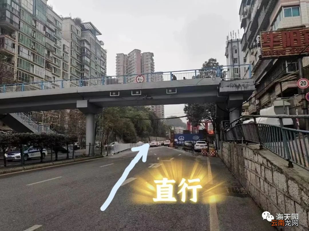 电话+时间 海天园2022清明节预约祭扫温馨提示