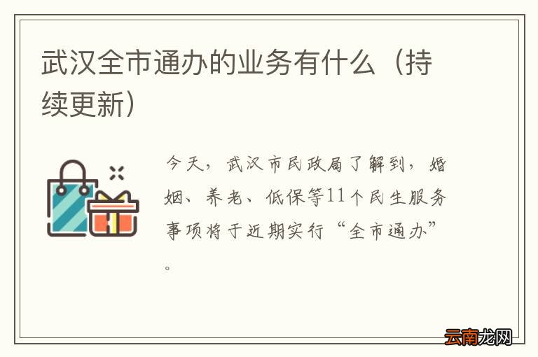 持续更新 武汉全市通办的业务有什么