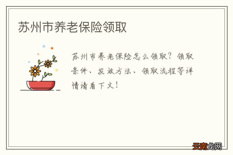 苏州市养老保险领取